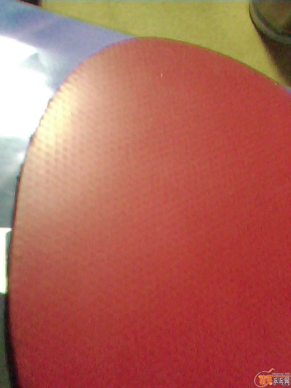 �ֲ�����ͼ5