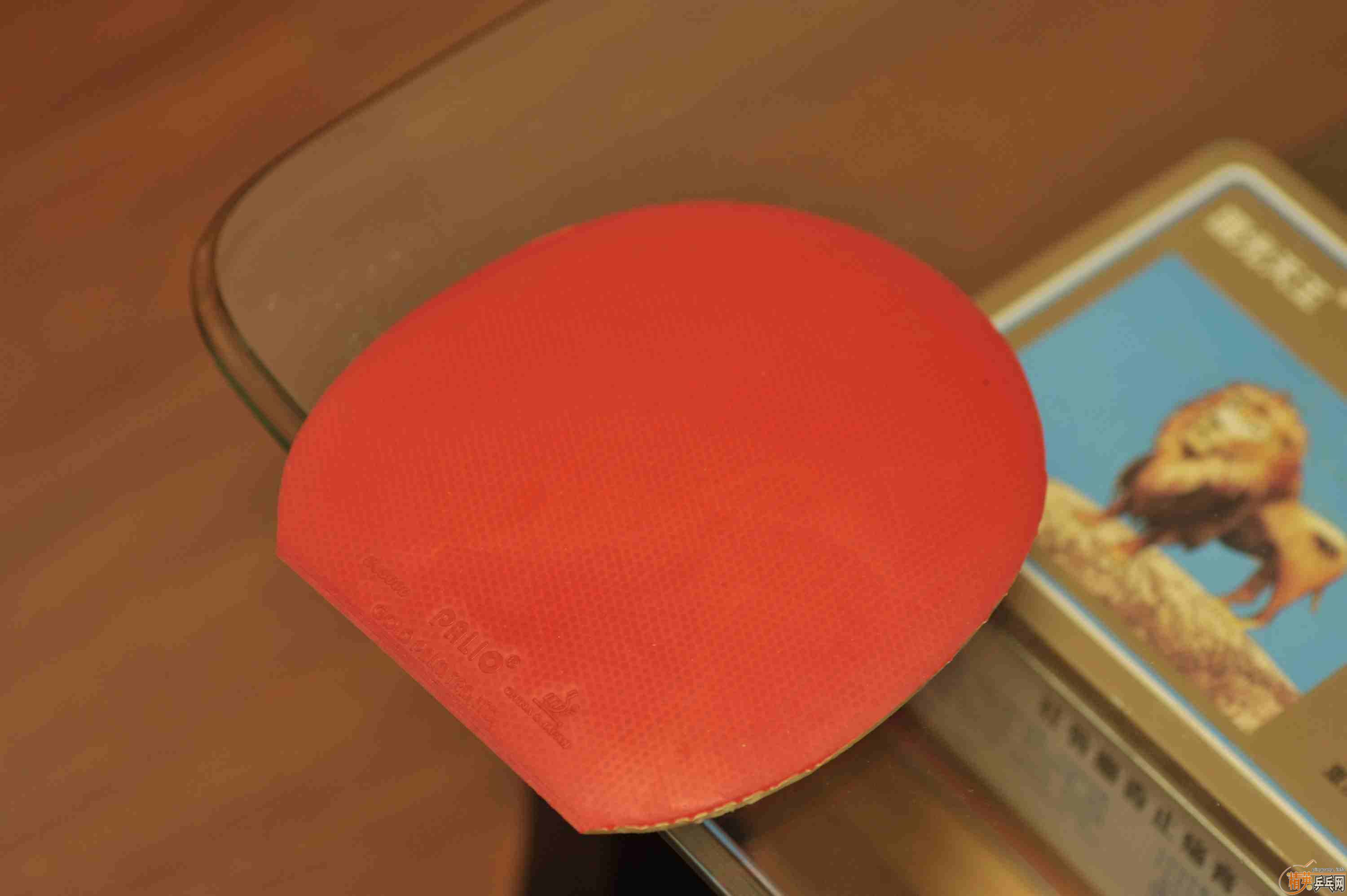 �������ͦ����̼��