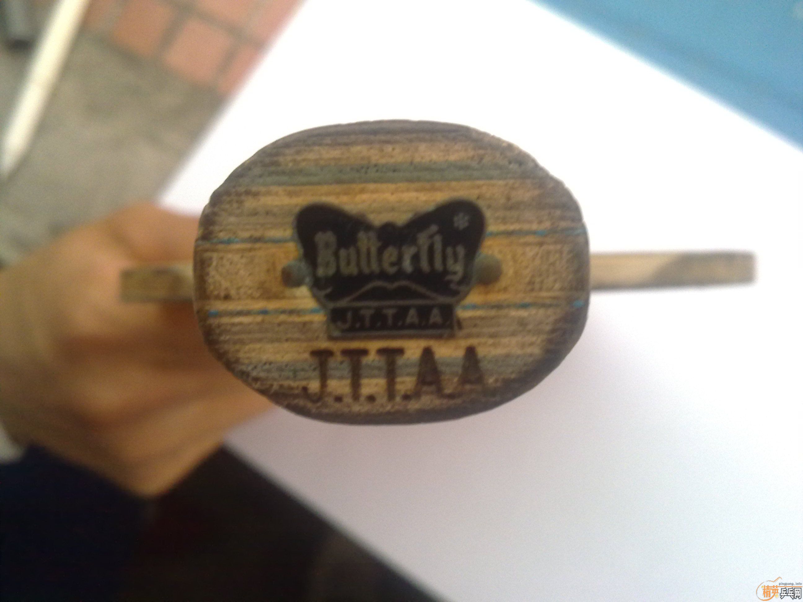 �����ƺ�����