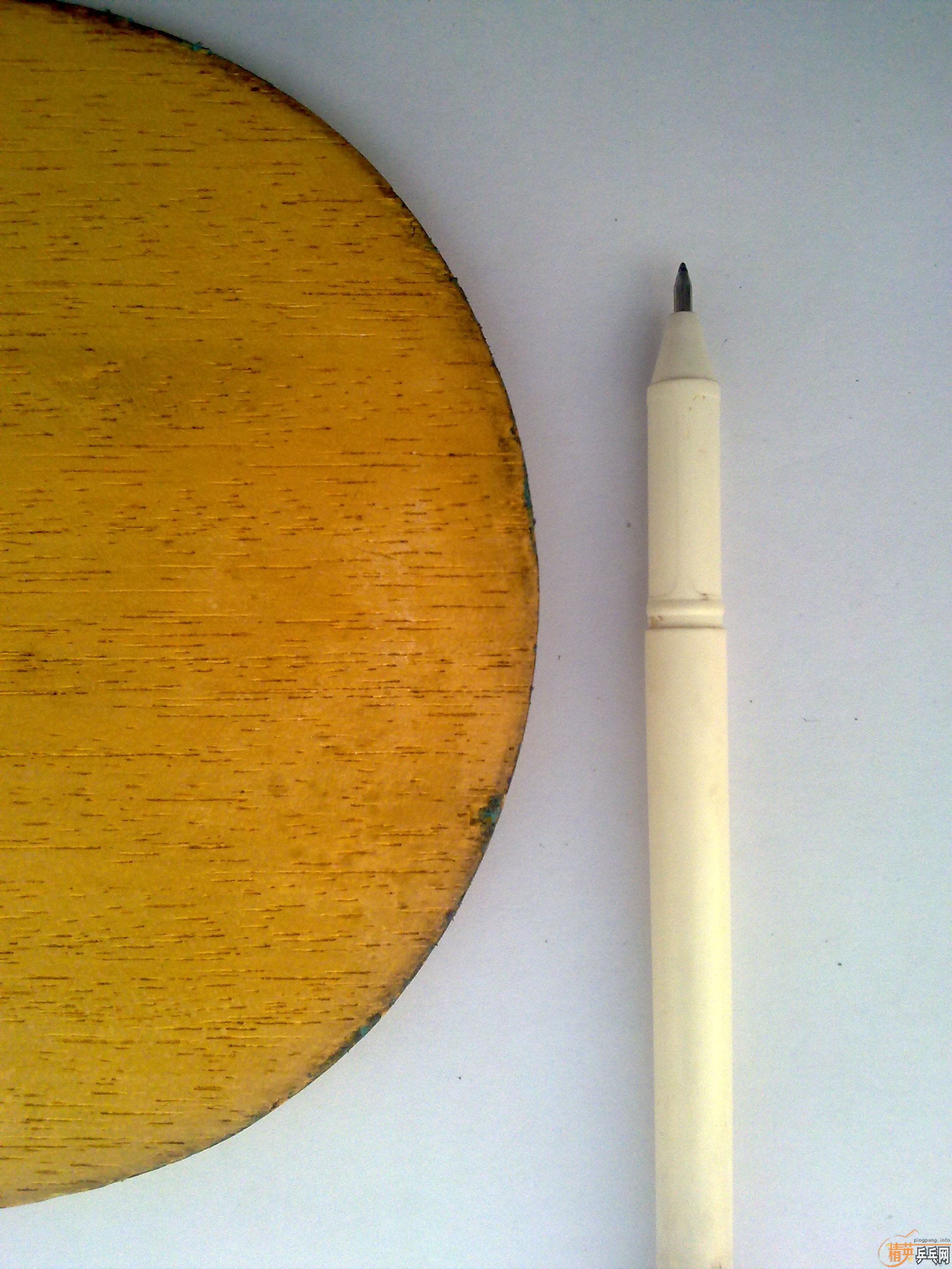 �����ƺ�����