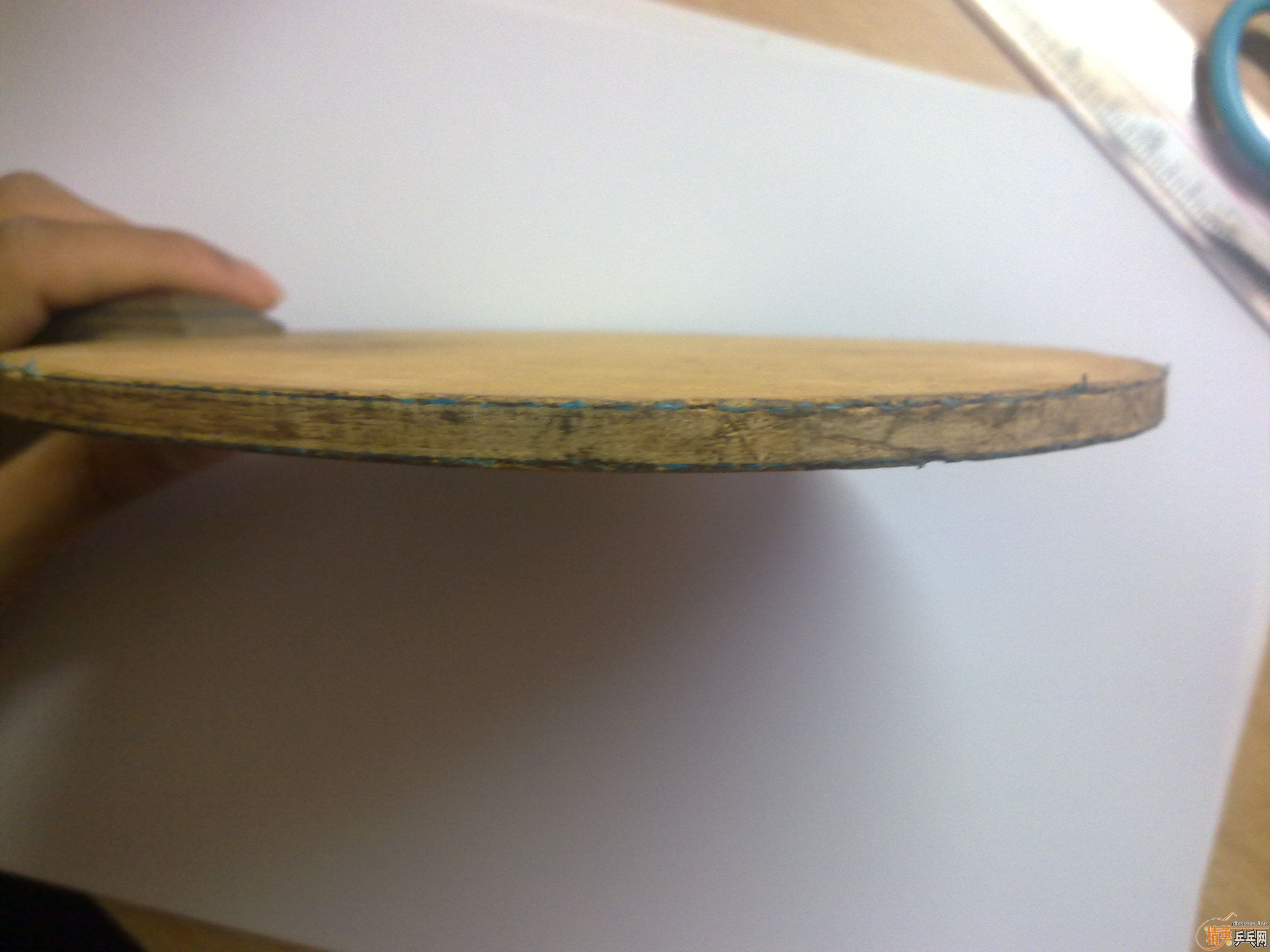 �����ƺ�����