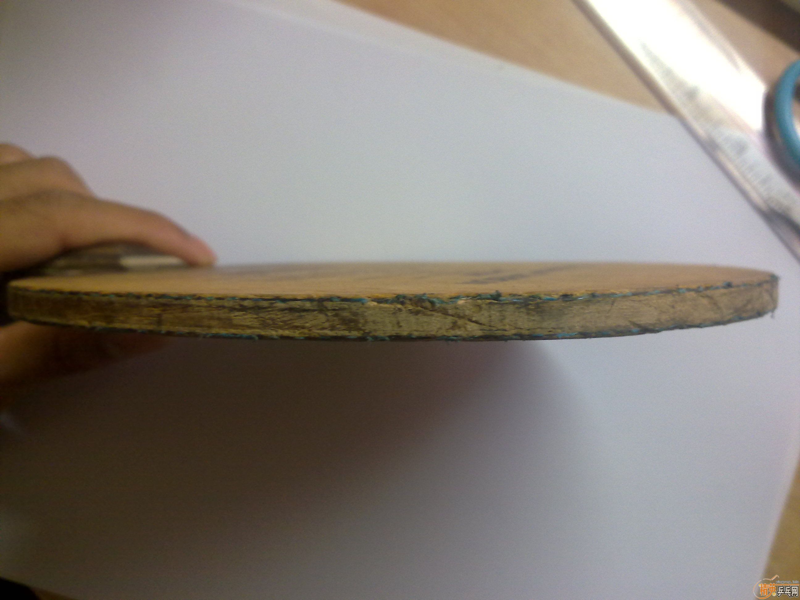 �����ƺ�����