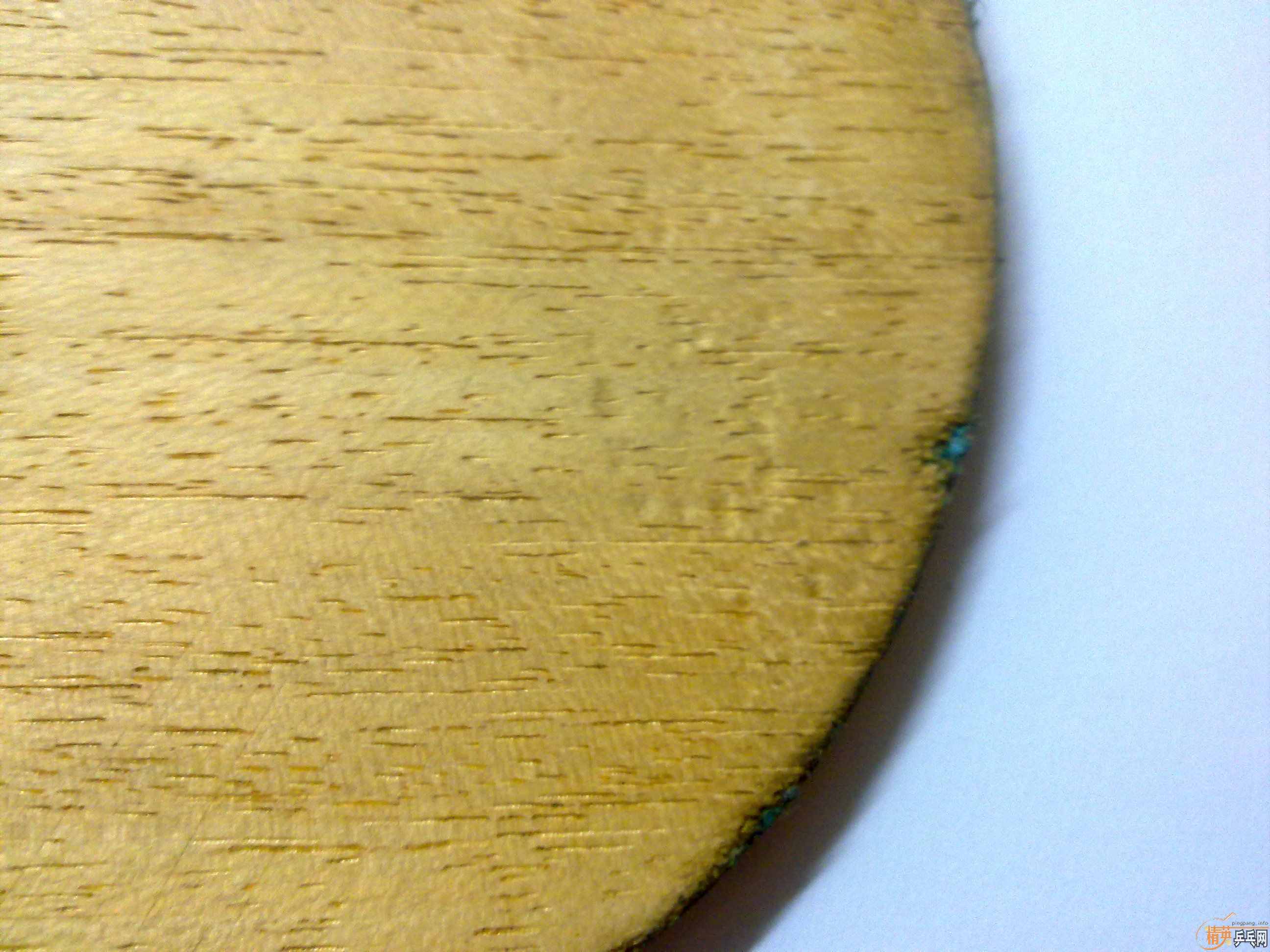 �����ƺ�����