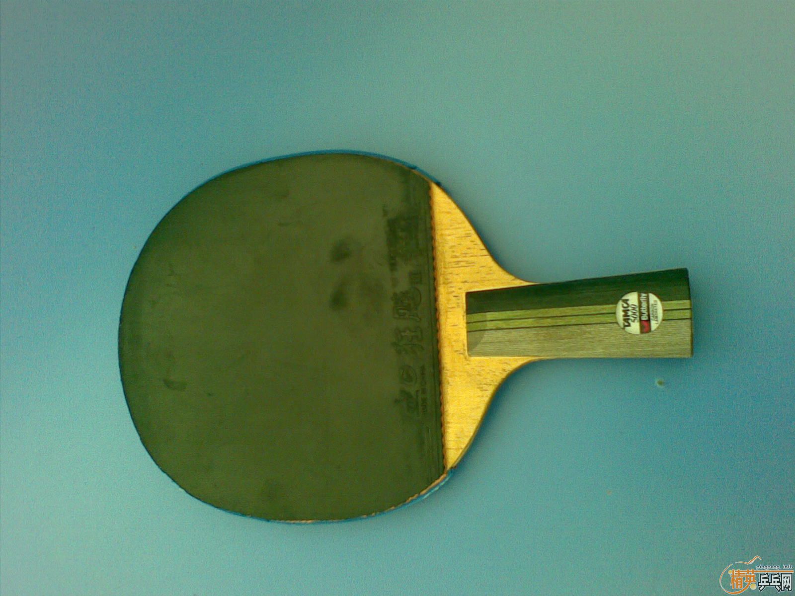 ����TAMCA5000��30651ֱ�����