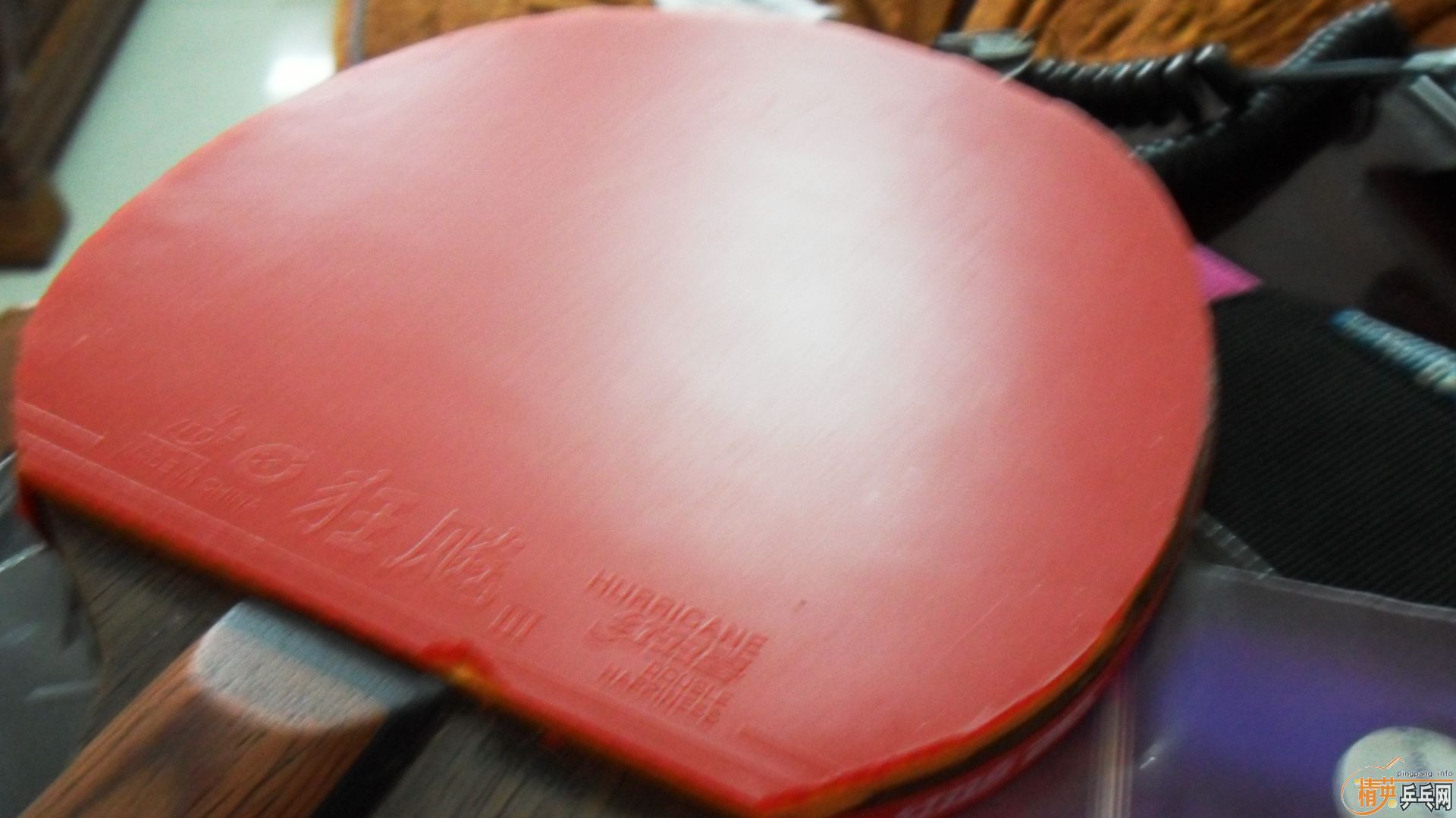 �տ����������-->wangyize159ת��