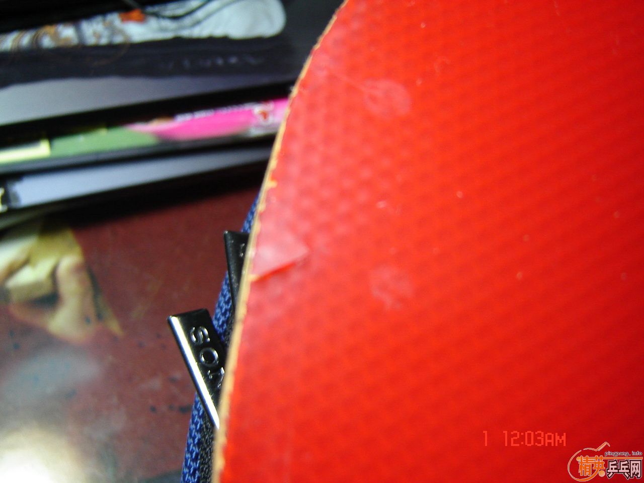 ʡ��40��+����EL MAX