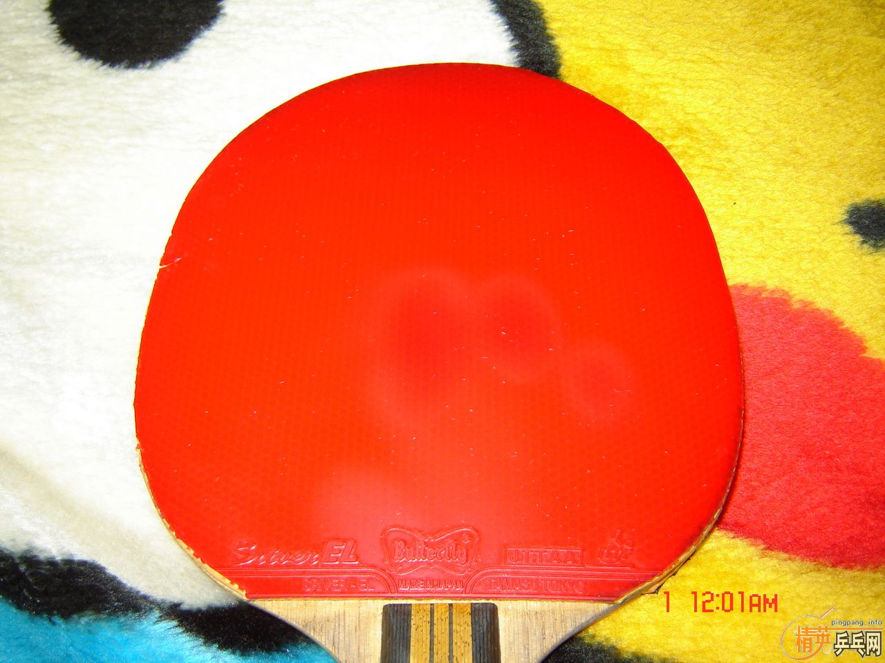 ʡ��40��+����EL MAX