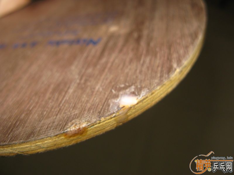 �����ۡ�anv wl fl����֧��������