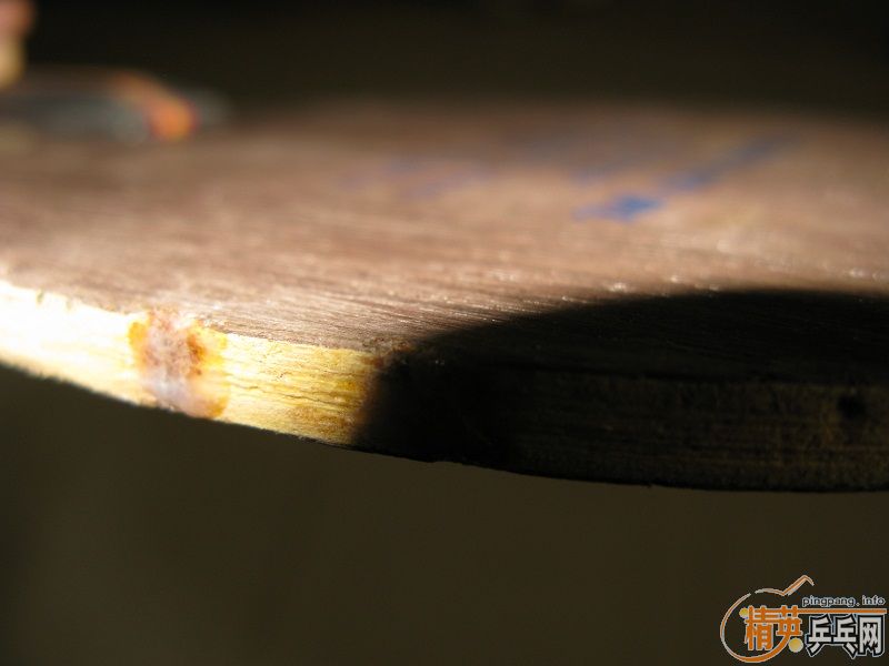 �����ۡ�anv wl fl����֧��������