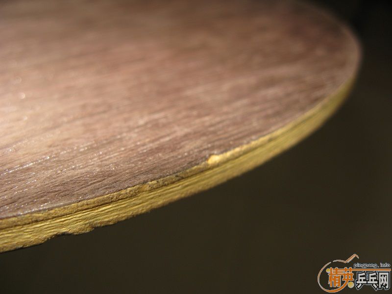 �����ۡ�anv wl fl����֧��������