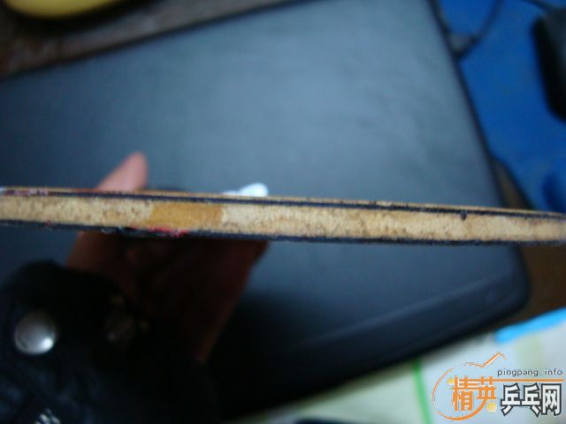 �л�EG���壬ֻ������