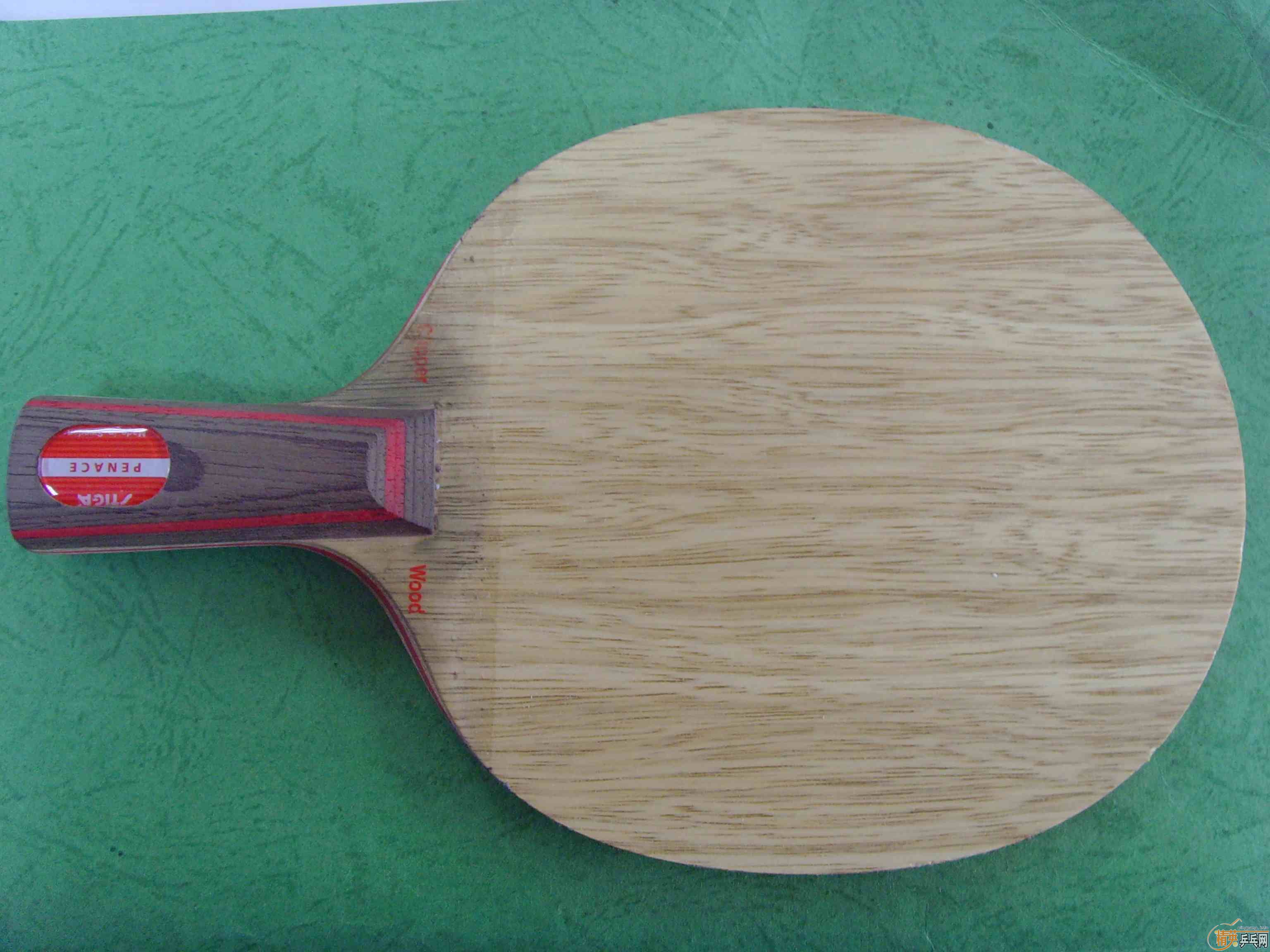 ���л�ϸ��CL��T64�����ţ���ɫ�Լ�����