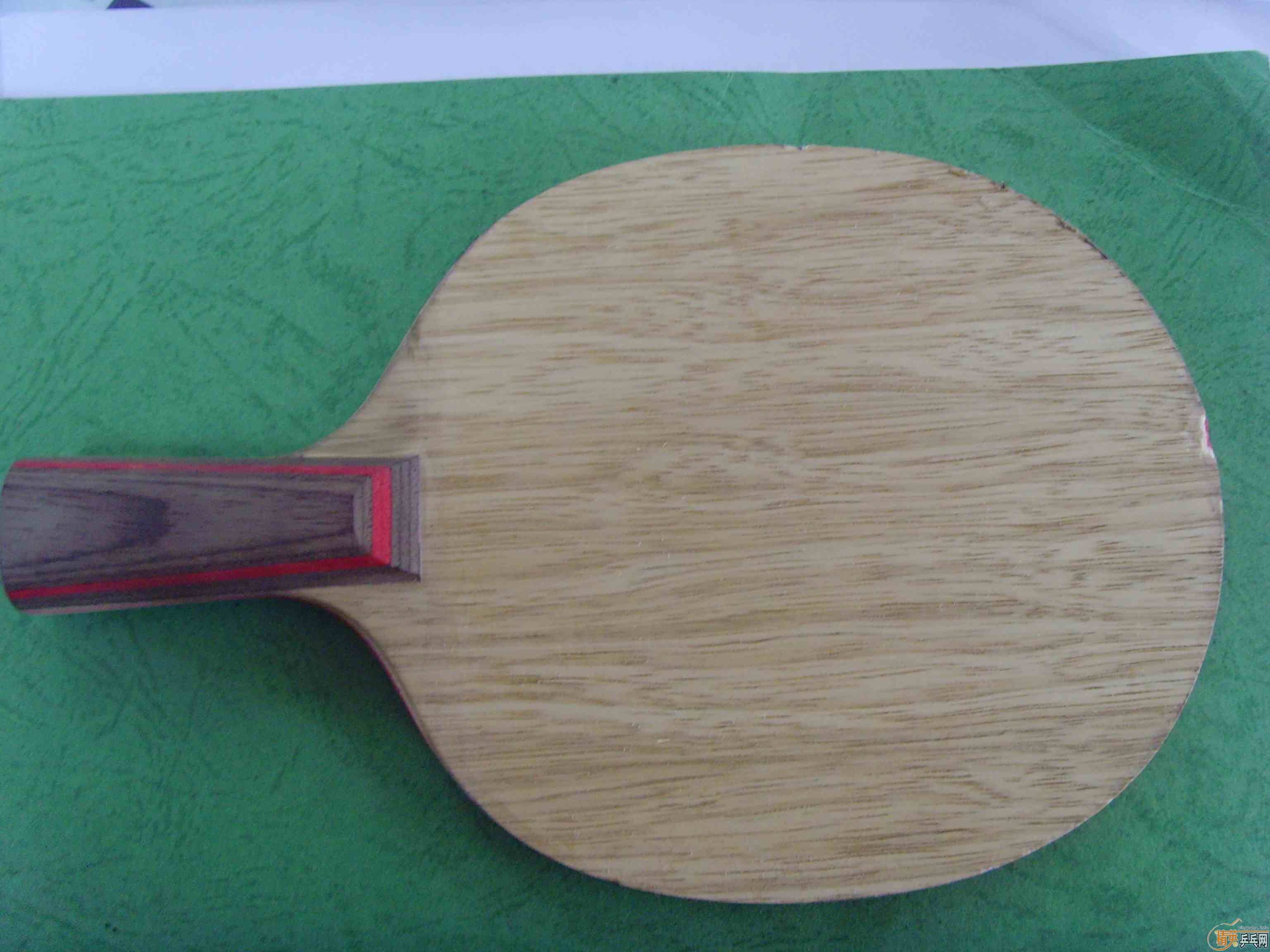 ���л�ϸ��CL��T64�����ţ���ɫ�Լ�����