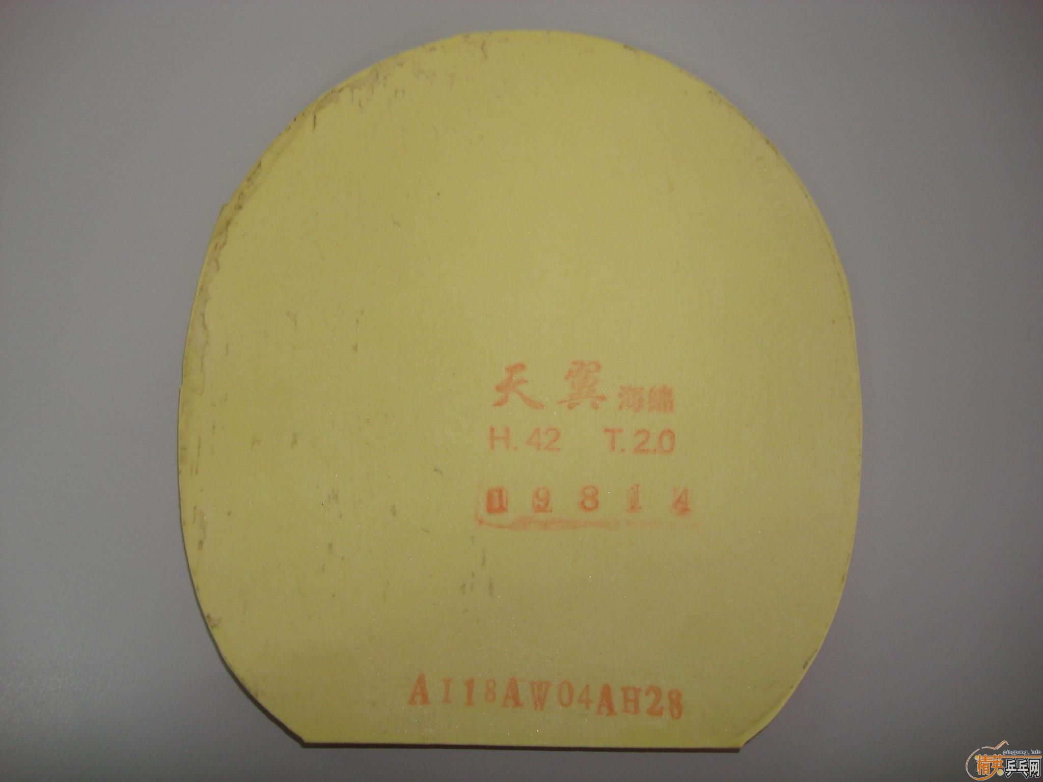 q10P30gD.jpg