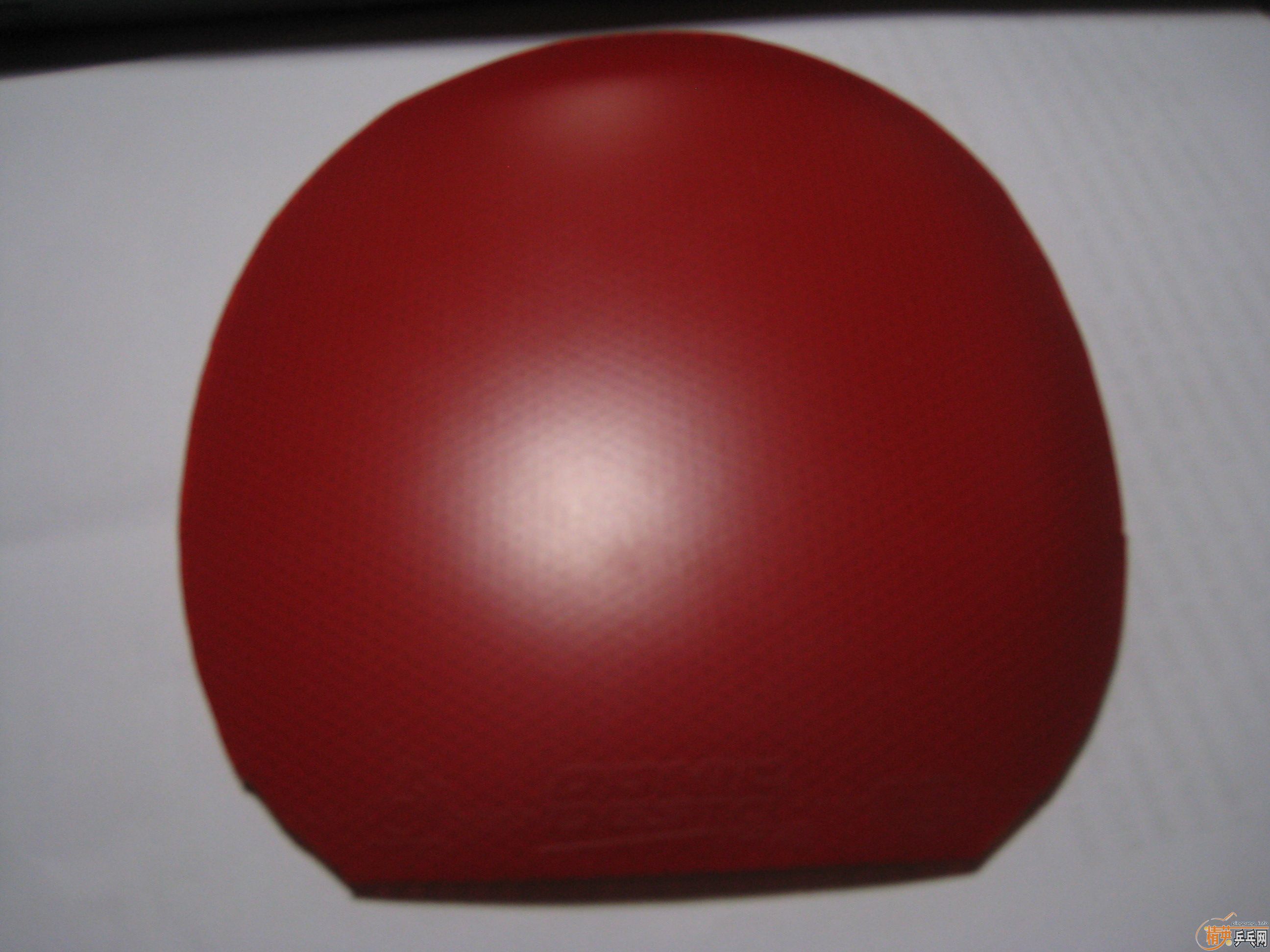 ���������ϰ��3(100),donic F1,F2(��80��