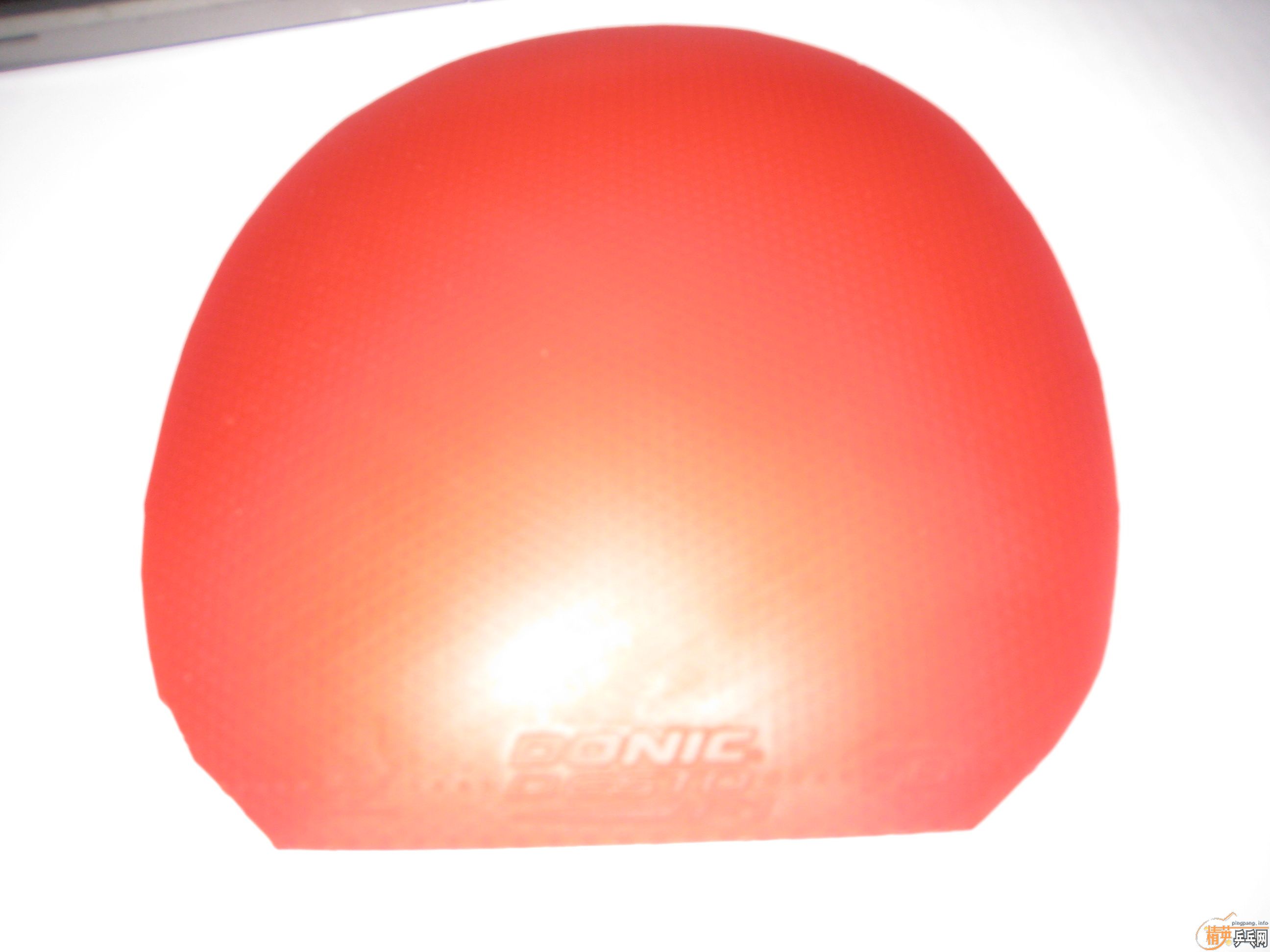 ���������ϰ��3(100),donic F1,F2(��80��