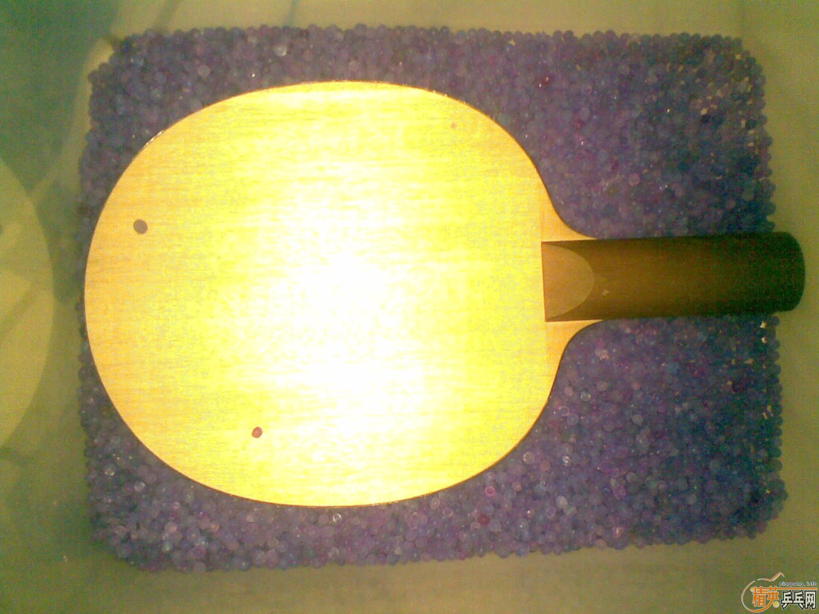 ������������������װ����ºƶ�