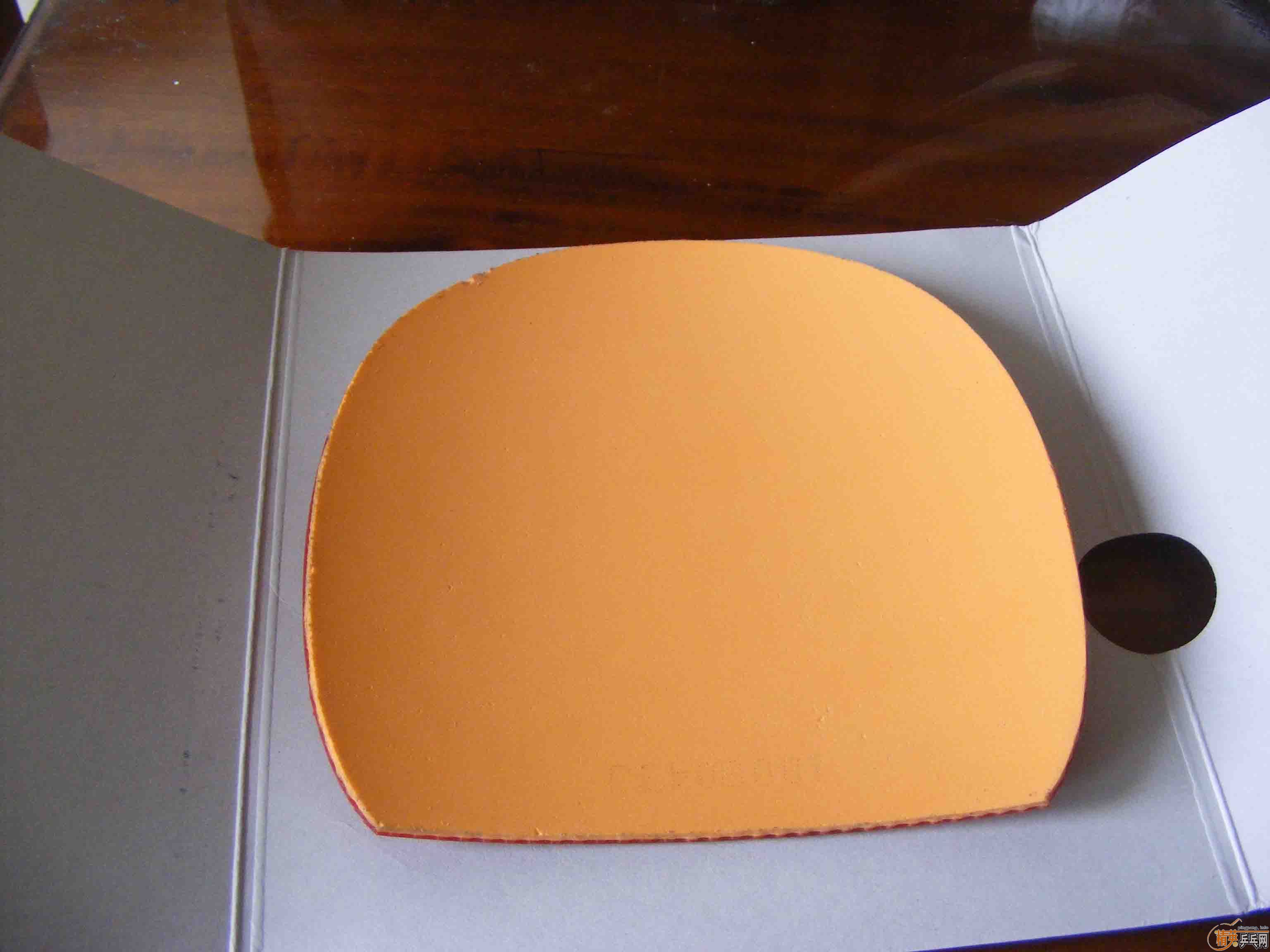 ��ֱ�����������moristonrhardmax��ɫ����JO