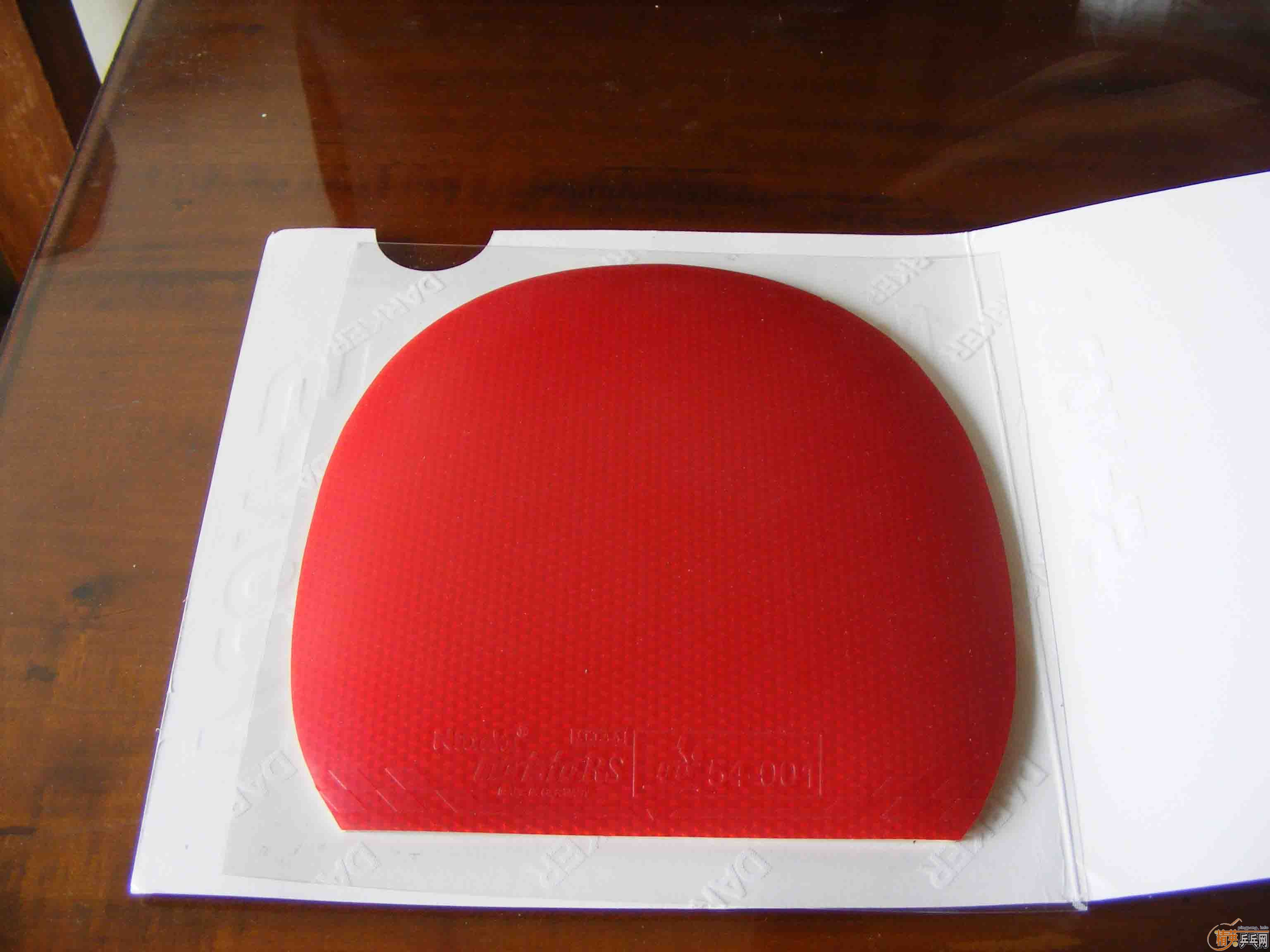 ��ֱ�����������moristonrhardmax��ɫ����JO