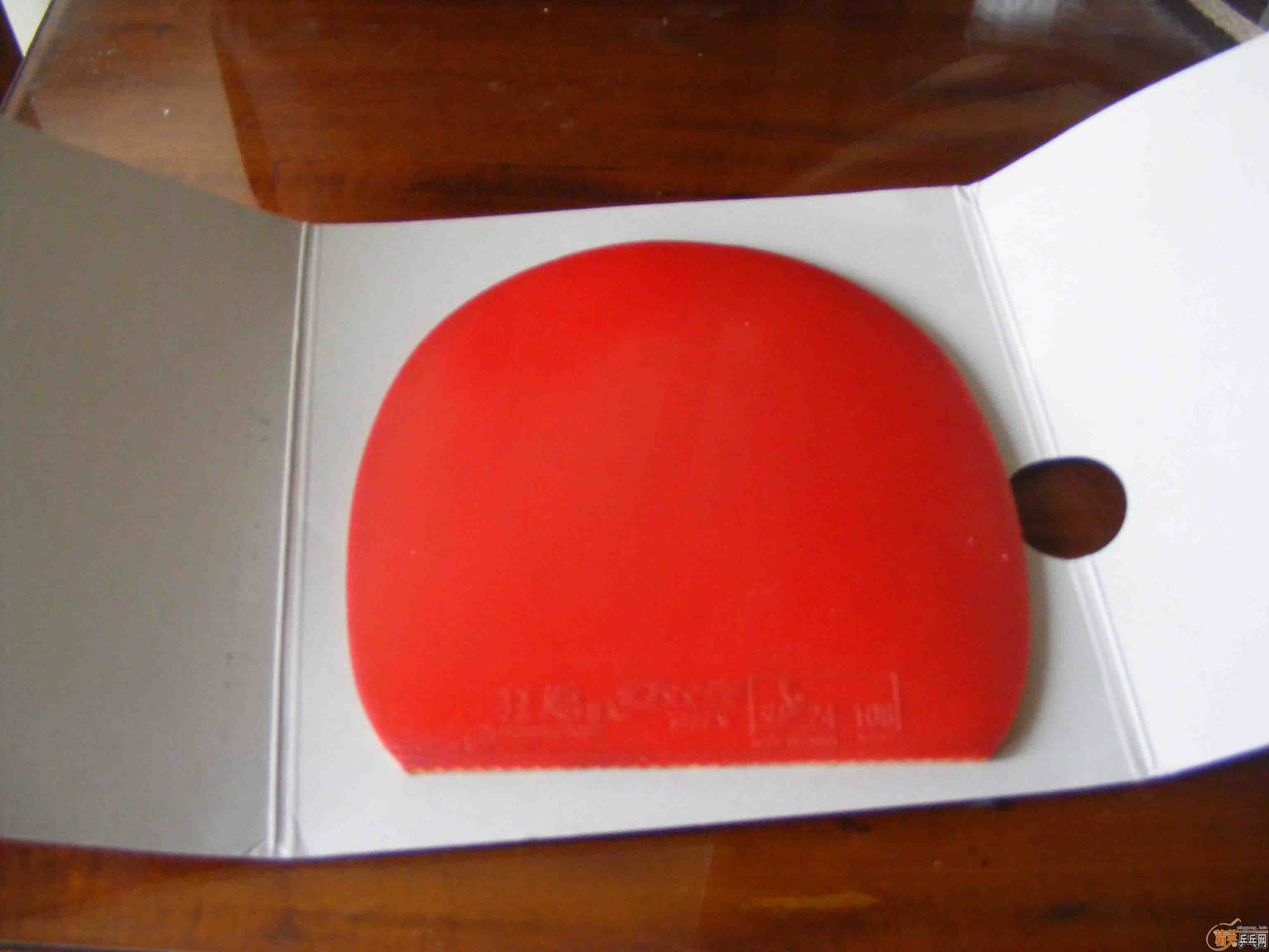 ��ֱ�����������moristonrhardmax��ɫ����JO