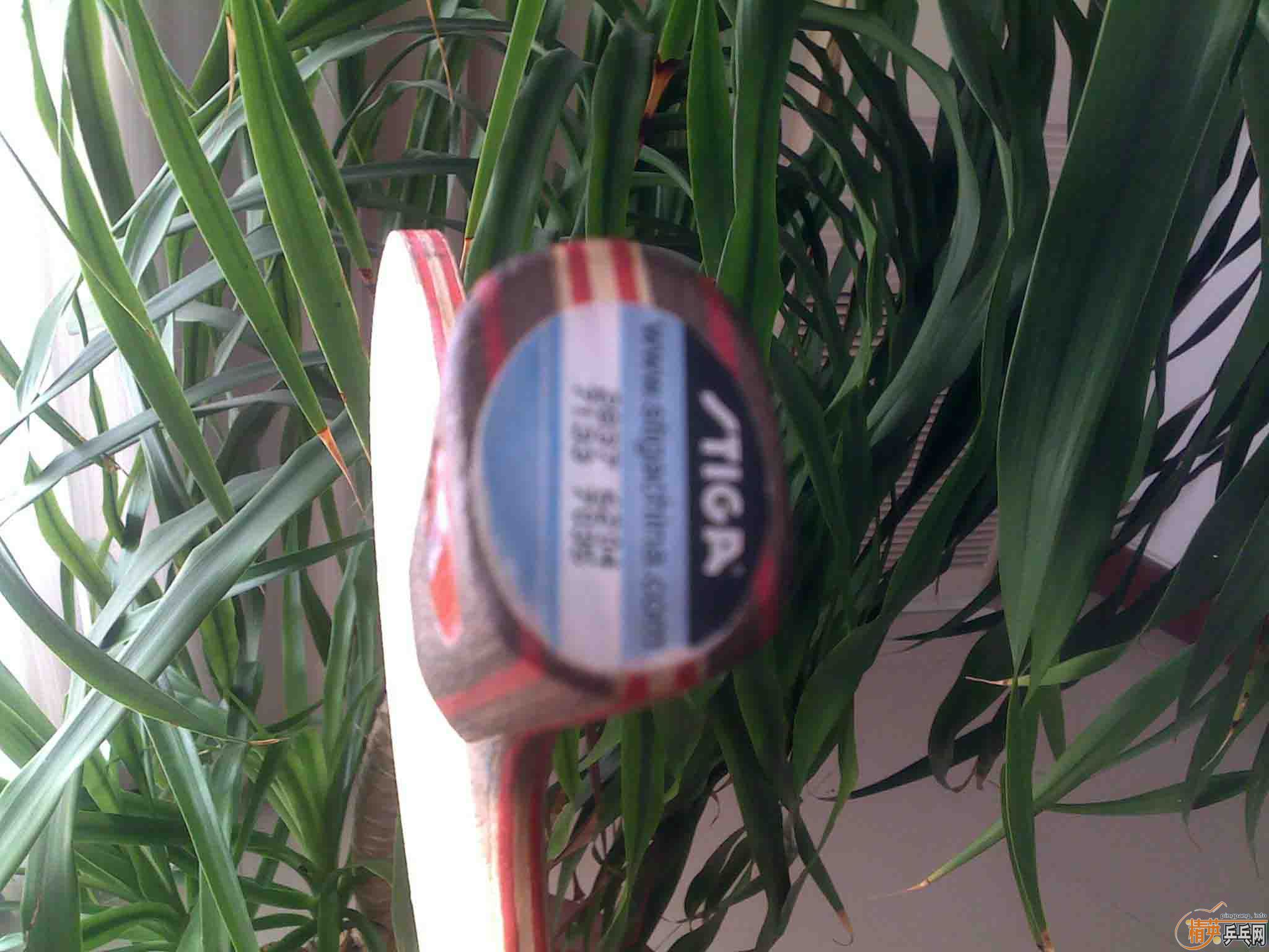 ֱ�Ĵ�CL���л��Ѳ�ѯ�����ˣ�230���ʵ����ģ�֧��������