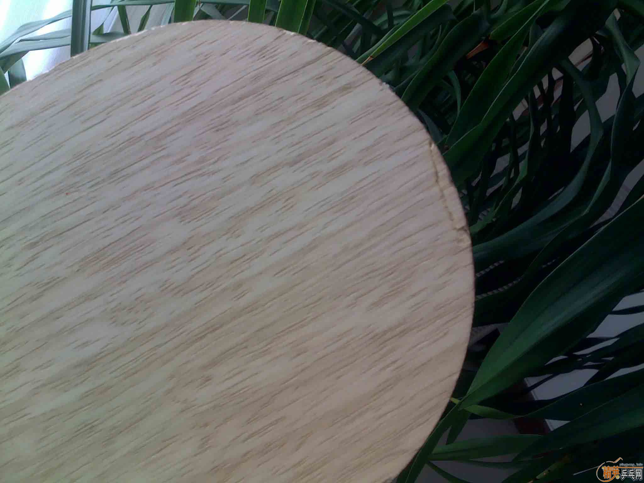 ֱ�Ĵ�CL���л��Ѳ�ѯ�����ˣ�230���ʵ����ģ�֧��������