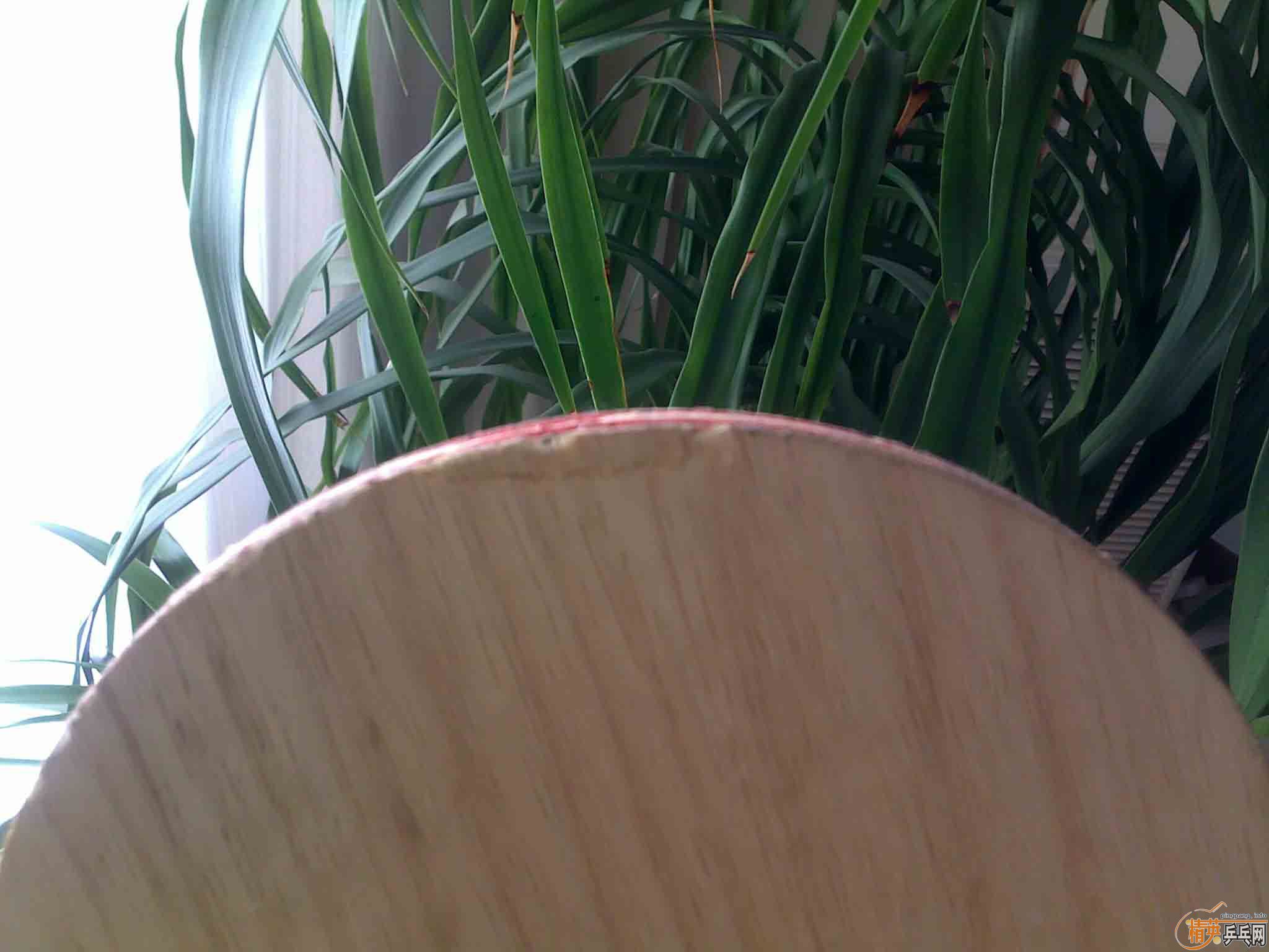 ֱ�Ĵ�CL���л��Ѳ�ѯ�����ˣ�230���ʵ����ģ�֧��������