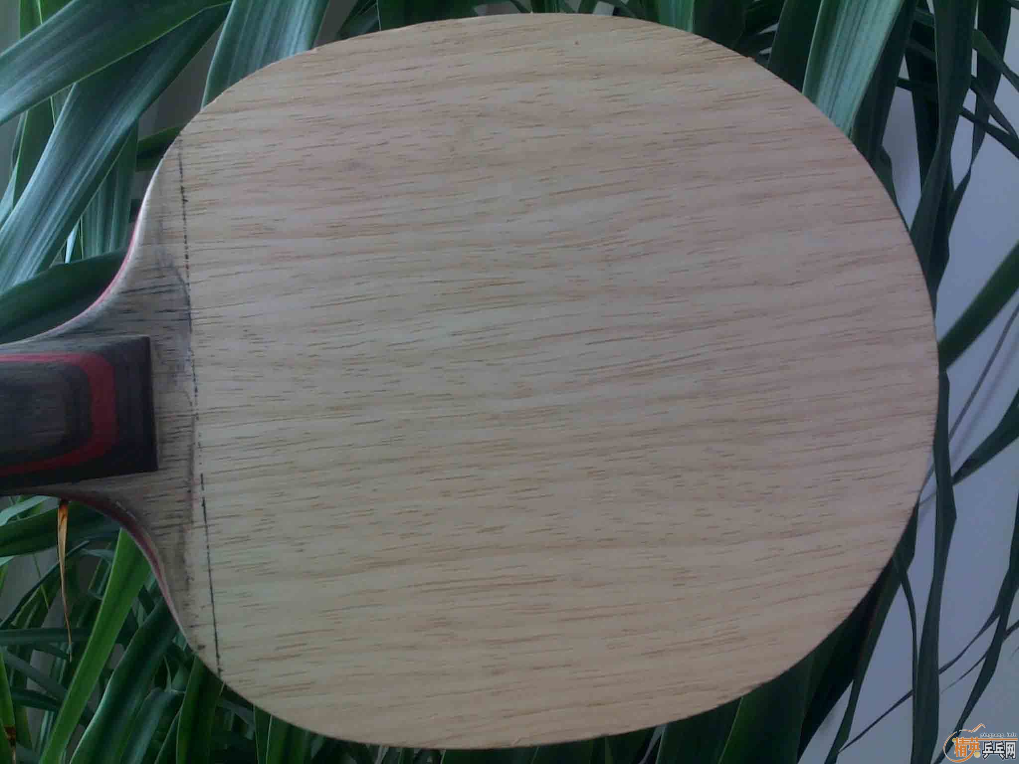 ֱ�Ĵ�CL���л��Ѳ�ѯ�����ˣ�230���ʵ����ģ�֧��������