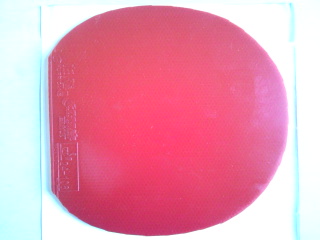 ��ʵ���ˣ�����ֱ�����տ����������һ�ţ�˹�Ͽ�������������������2��һ�Ŵ��100Ԫ���죡