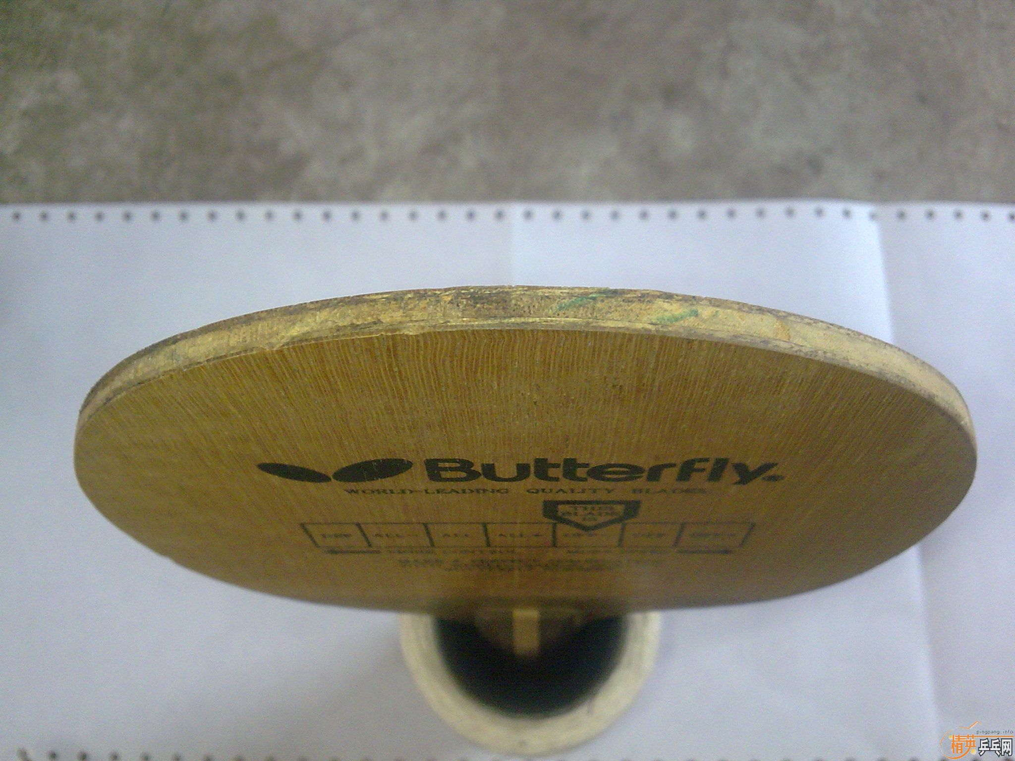 ֧��������������ľ����������