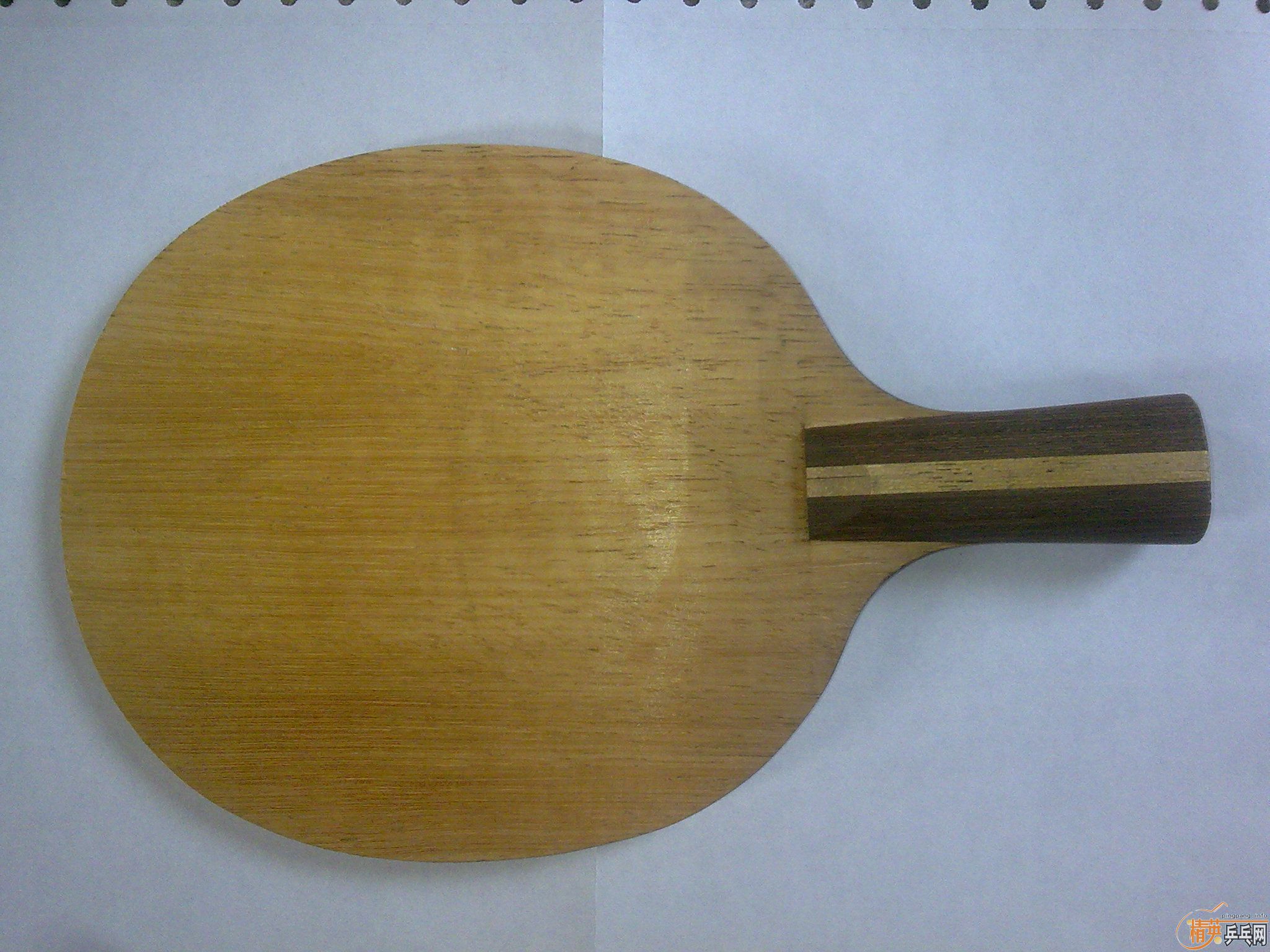 ֧��������������ľ����������