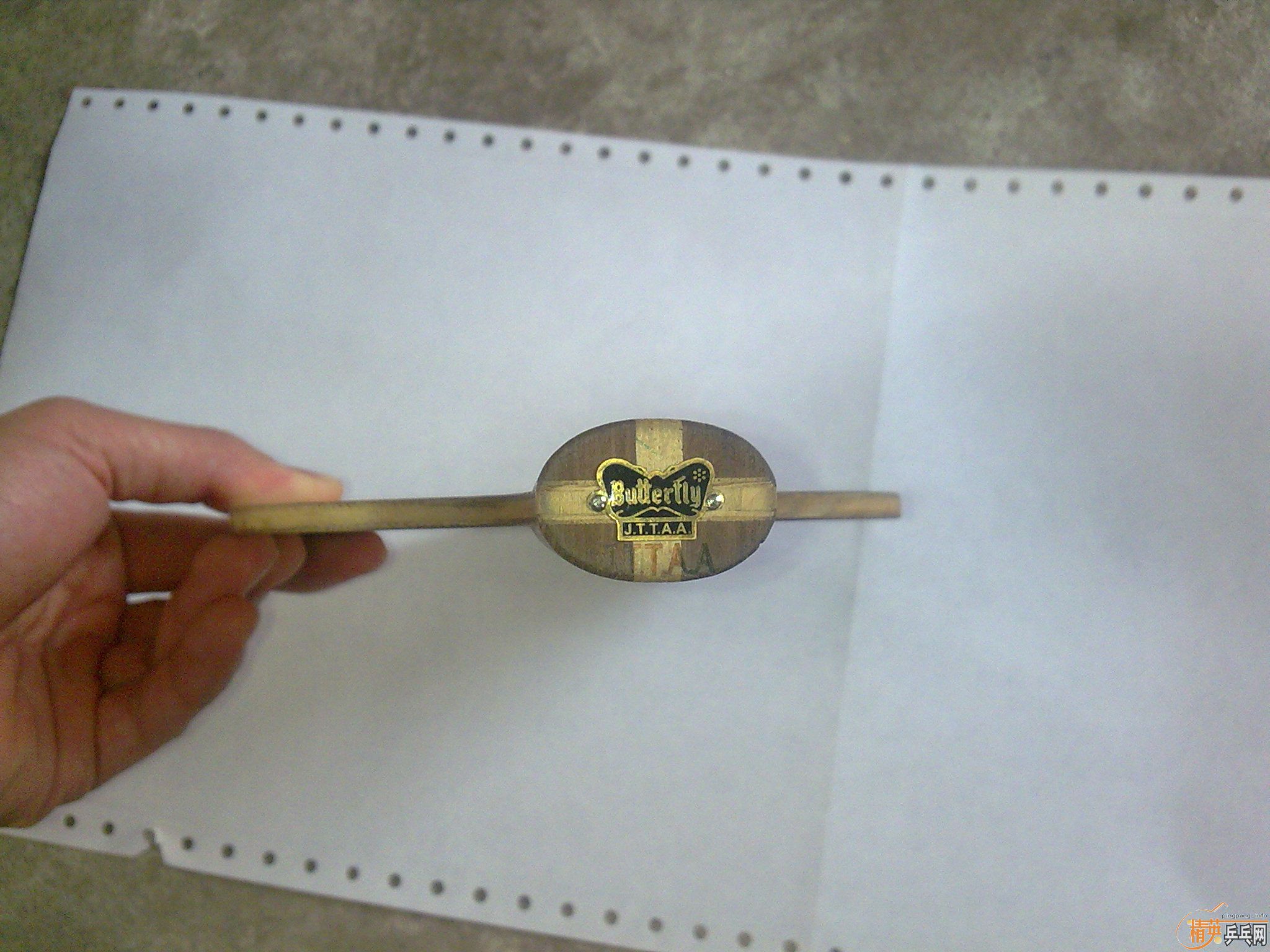 ֧��������������ľ����������