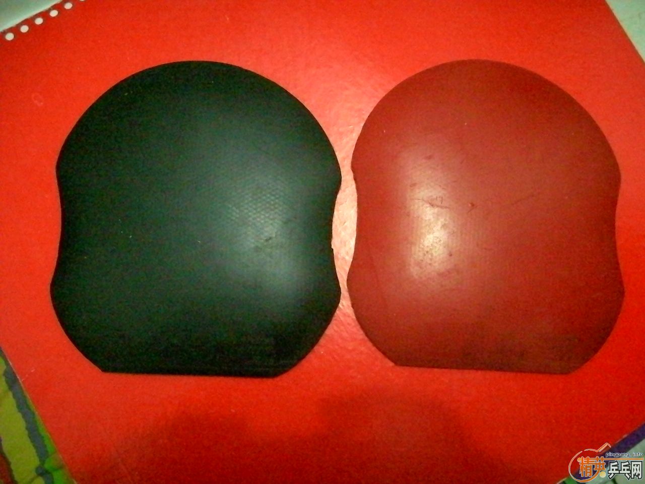 [ԭ��]���ѳ�ͦ��ϣ�����٣�251����������