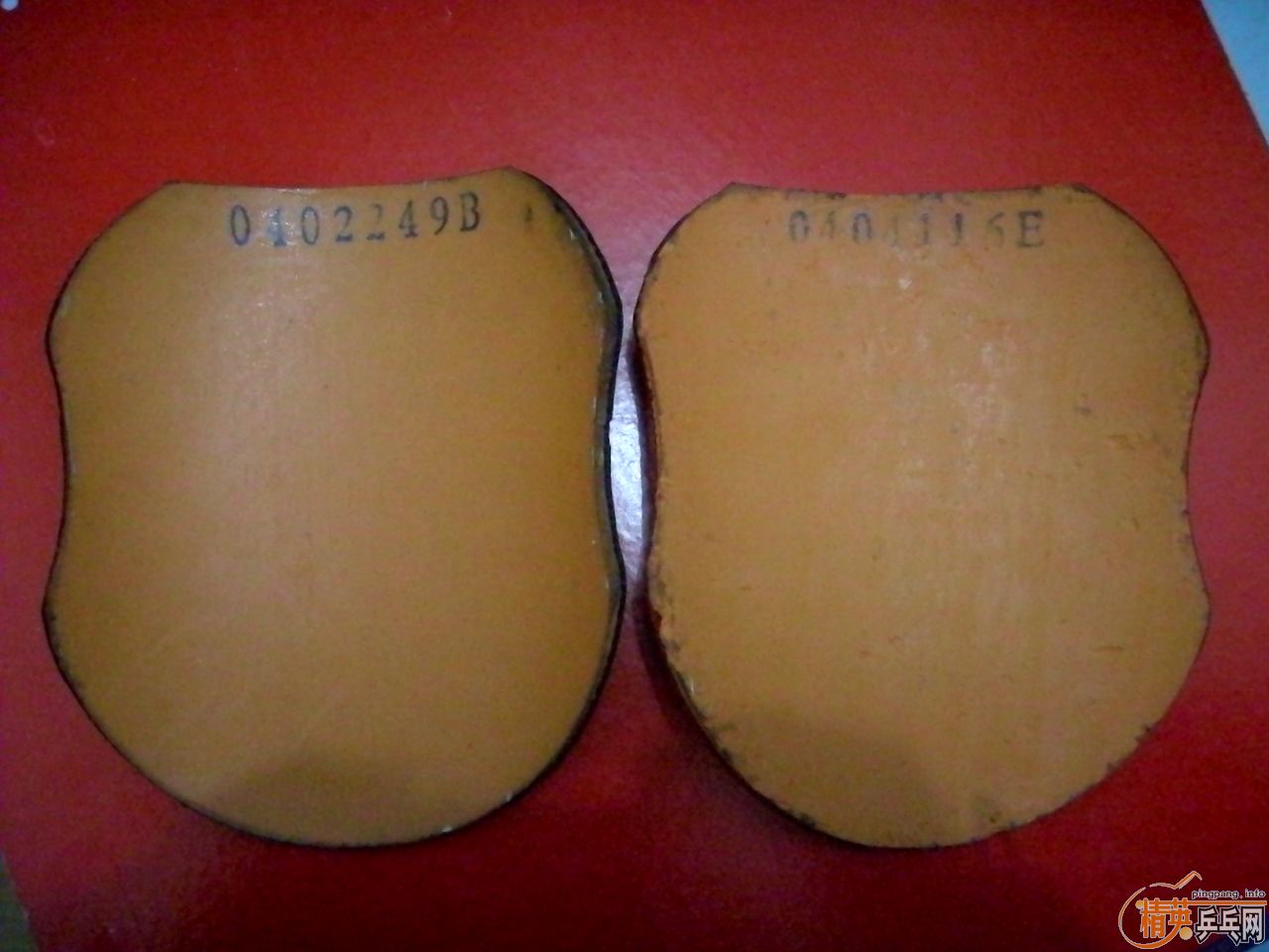 [ԭ��]���ѳ�ͦ��ϣ�����٣�251����������