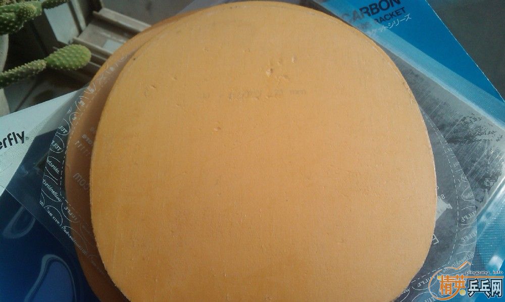 [ԭ��]���������Ӻͽ�Ƥ������