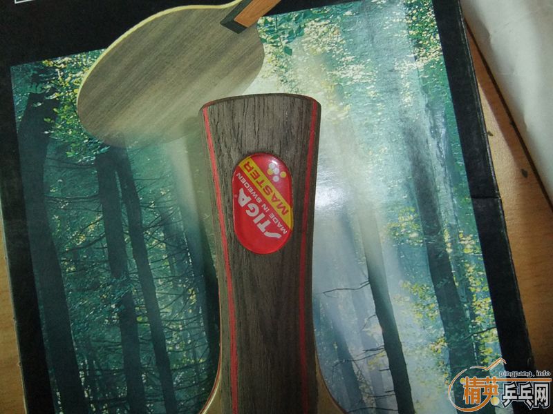 ��ʵ����