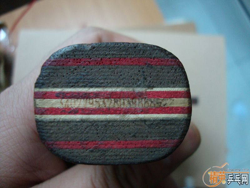 �����߼л���̼