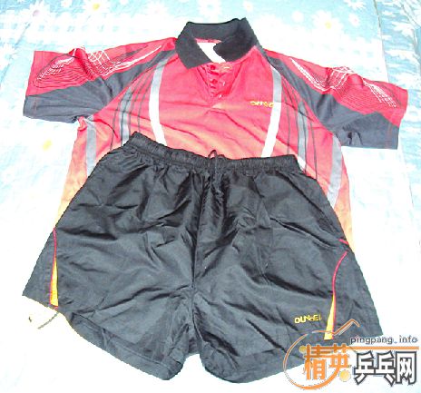 ���ñ��������¡���������֧������������