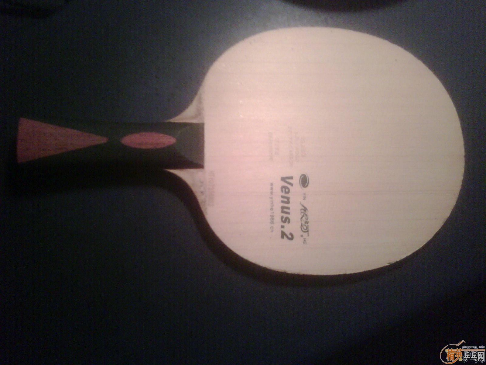 �ƾɿ�������