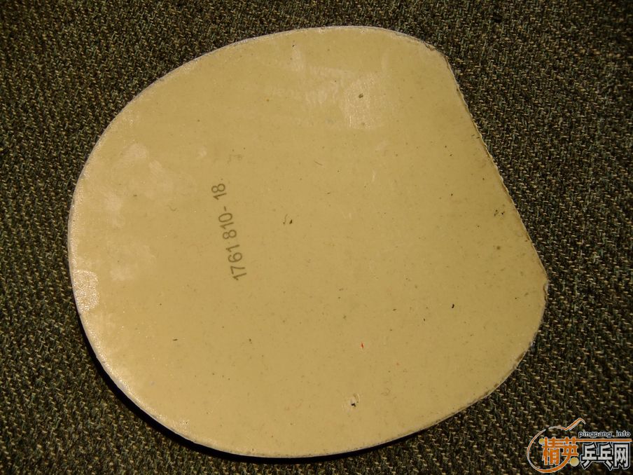 ����450��470��500��coppa speed��S1��sinus alpha��TP������