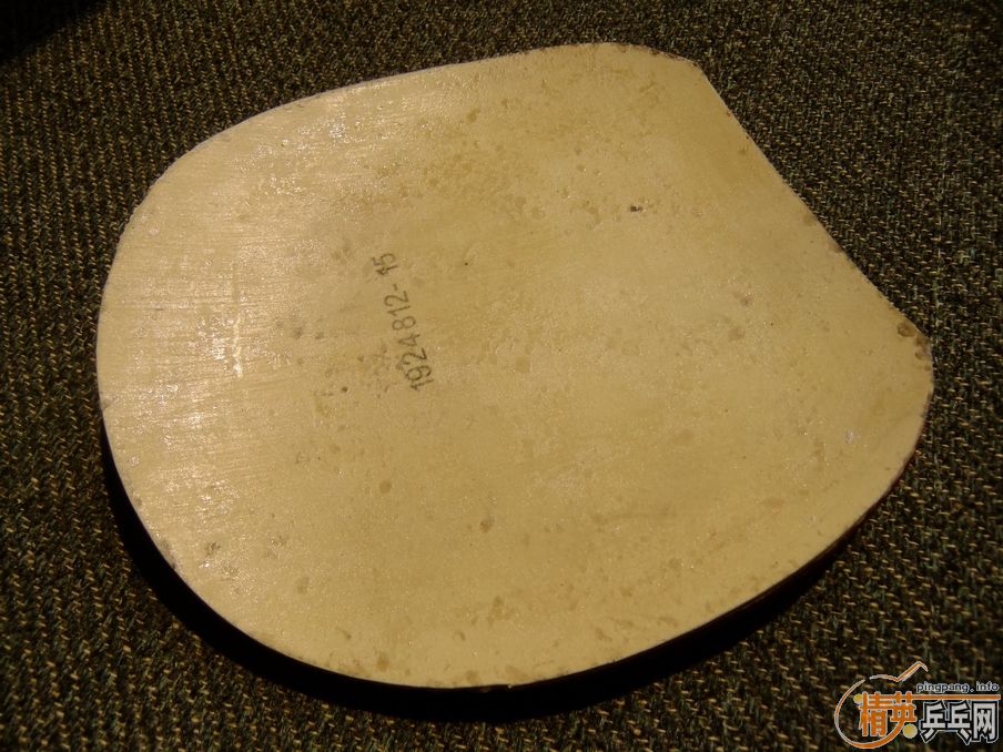 ����450��470��500��coppa speed��S1��sinus alpha��TP������