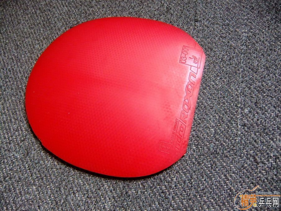 ����450��470��500��coppa speed��S1��sinus alpha��TP������