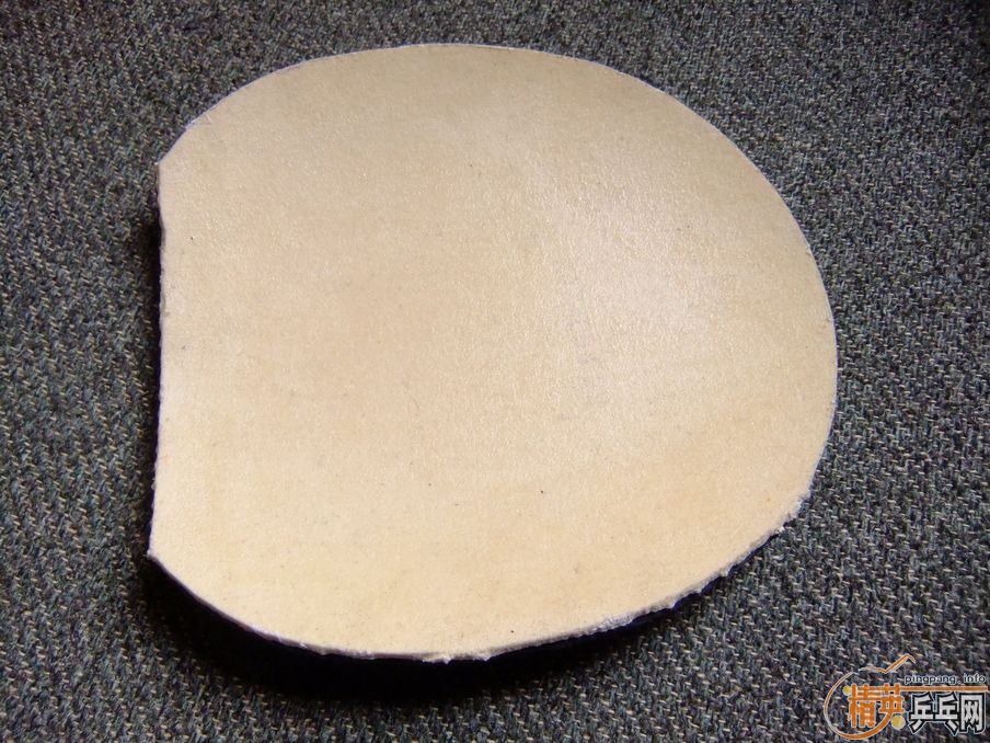 ����450��470��500��coppa speed��S1��sinus alpha��TP������