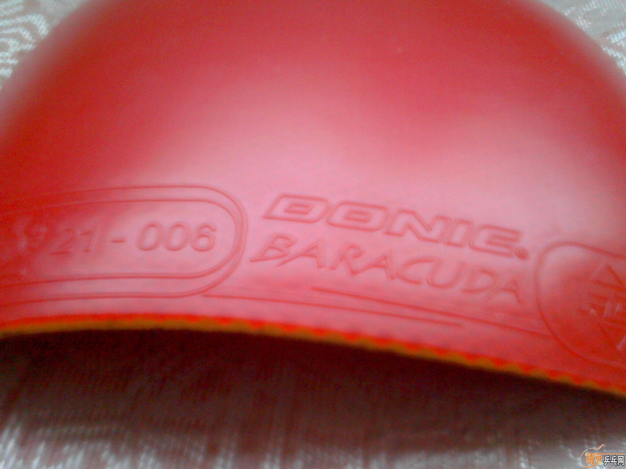 95�¶���˰������˦����