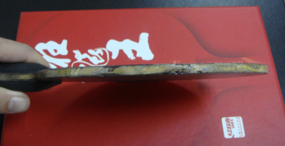 355���ʳ�08����һֻ���������տ�3��729��Ƥ