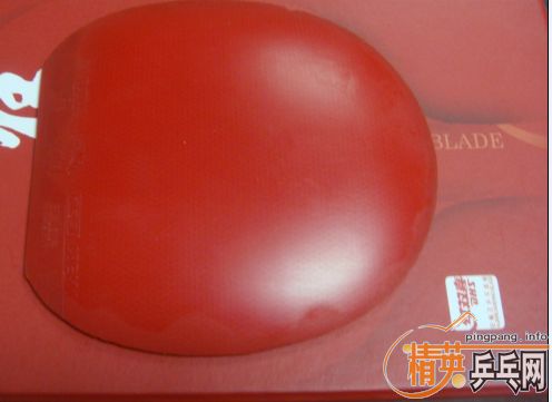 355���ʳ�08����һֻ���������տ�3��729��Ƥ