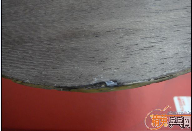 355���ʳ�08����һֻ���������տ�3��729��Ƥ