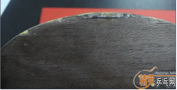 355���ʳ�08����һֻ���������տ�3��729��Ƥ