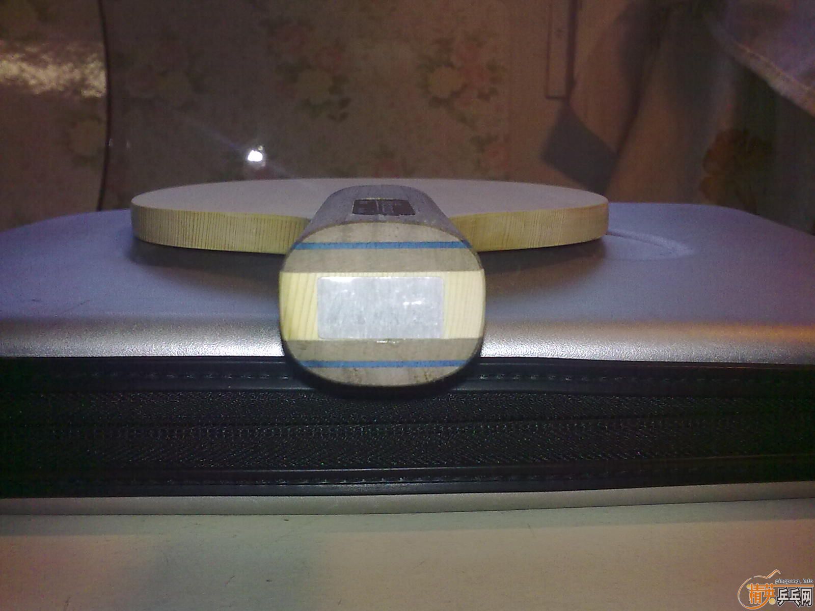 ��һ�������С9.9mm Ariex��ע ����M�� 101.6g rmb790����