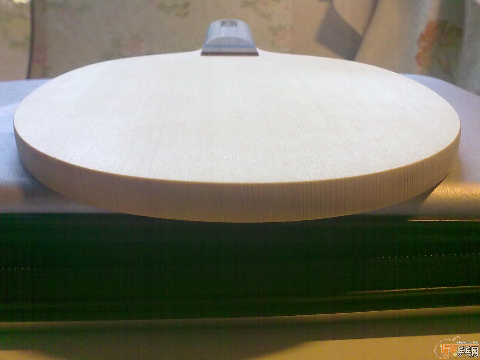 ��һ�������С9.9mm Ariex��ע ����M�� 101.6g rmb790����